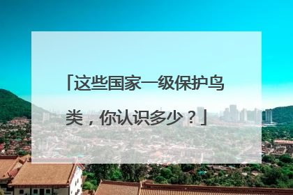 这些国家一级保护鸟类，你认识多少？