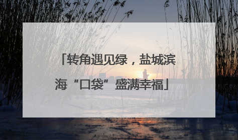 转角遇见绿，盐城滨海“口袋”盛满幸福