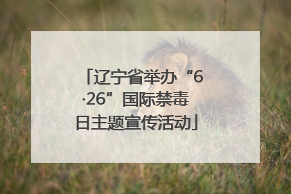辽宁省举办“6·26”国际禁毒日主题宣传活动