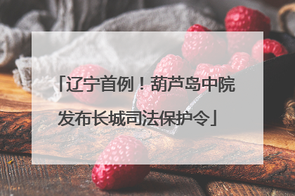 辽宁首例！葫芦岛中院发布长城司法保护令