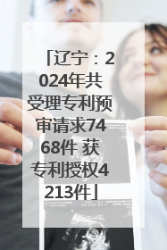 辽宁：2024年共受理专利预审请求7468件 获专利授权4213件