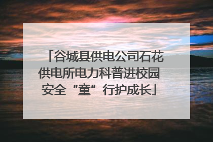 谷城县供电公司石花供电所电力科普进校园安全“童”行护成长