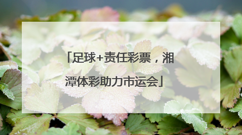 足球+责任彩票，湘潭体彩助力市运会
