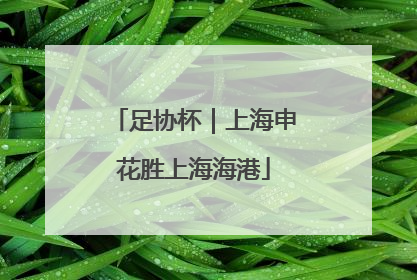 足协杯｜上海申花胜上海海港