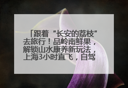跟着“长安的荔枝”去旅行！品岭南鲜果，解锁山水康养新玩法，上海3小时直飞，自驾高速费优惠