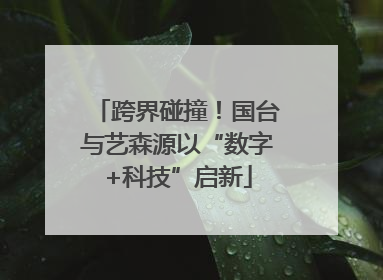 跨界碰撞！国台与艺森源以“数字+科技”启新