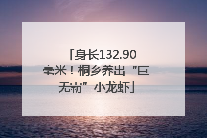 身长132.90毫米！桐乡养出“巨无霸”小龙虾