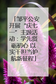 邹平公安开展“庆七一”主题活动：学先贤砺初心 以实干担当护航新征程