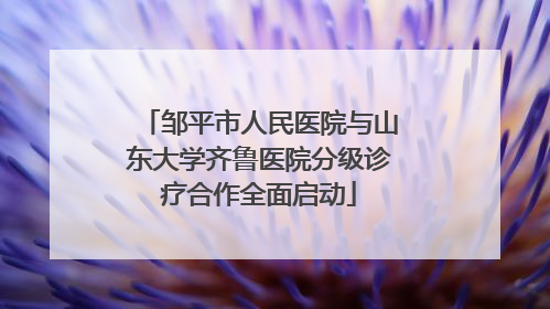 邹平市人民医院与山东大学齐鲁医院分级诊疗合作全面启动