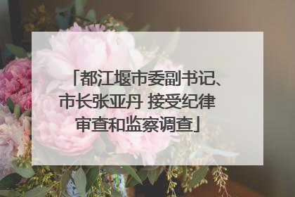 都江堰市委副书记、市长张亚丹 接受纪律审查和监察调查