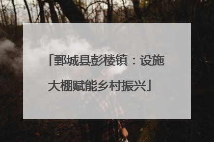 鄄城县彭楼镇：设施大棚赋能乡村振兴