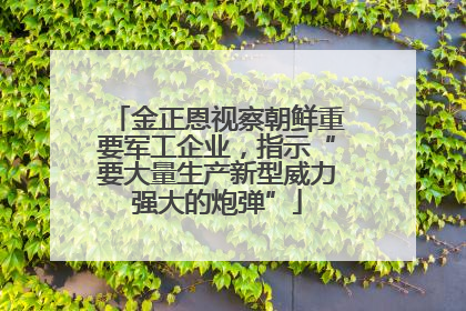 金正恩视察朝鲜重要军工企业，指示“要大量生产新型威力强大的炮弹”