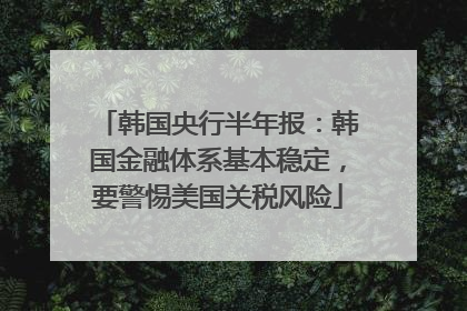 韩国央行半年报：韩国金融体系基本稳定，要警惕美国关税风险