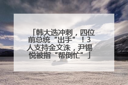 韩大选冲刺，四位前总统“出手”！3人支持金文洙，尹锡悦被指“帮倒忙”