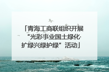 青海工商联组织开展“光彩事业国土绿化·扩绿兴绿护绿”活动