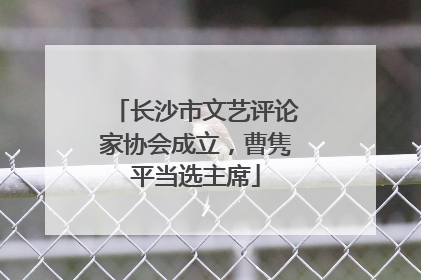 长沙市文艺评论家协会成立，曹隽平当选主席