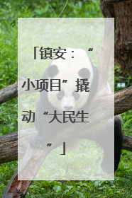 镇安：“小项目”撬动“大民生”
