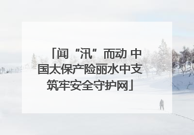 闻“汛”而动 中国太保产险丽水中支筑牢安全守护网