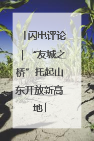 闪电评论｜“友城之桥”托起山东开放新高地