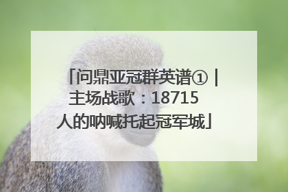 问鼎亚冠群英谱①｜主场战歌：18715人的呐喊托起冠军城
