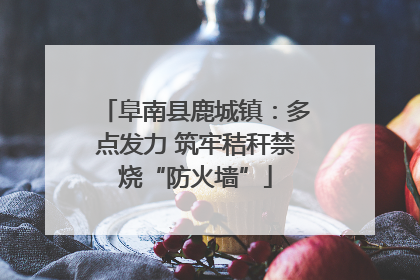 阜南县鹿城镇：多点发力 筑牢秸秆禁烧“防火墙”