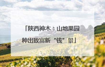 陕西神木：山地果园种出致富新“钱”景