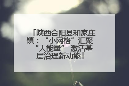 陕西合阳县和家庄镇：“小网格”汇聚“大能量” 激活基层治理新动能