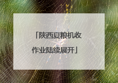 陕西夏粮机收作业陆续展开