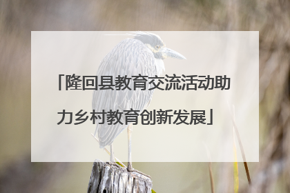 隆回县教育交流活动助力乡村教育创新发展