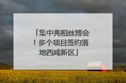 集中亮相丝博会！多个项目签约落地西咸新区