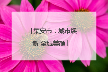 集安市：城市焕新 全域美颜