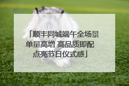 顺丰同城端午全场景单量高增 高品质即配点亮节日仪式感