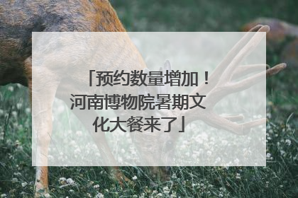 预约数量增加！河南博物院暑期文化大餐来了