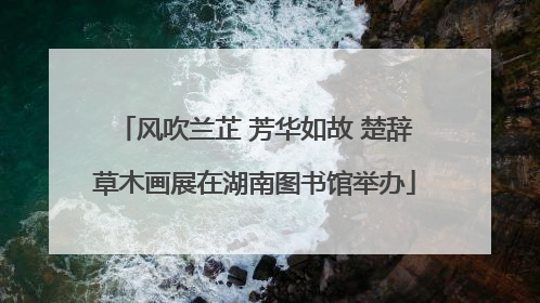 风吹兰芷 芳华如故 楚辞草木画展在湖南图书馆举办