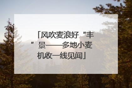 风吹麦浪好“丰”景——多地小麦机收一线见闻