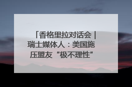 香格里拉对话会｜瑞士媒体人：美国施压盟友“极不理性” 欧洲国家无意与中国“脱钩断链”