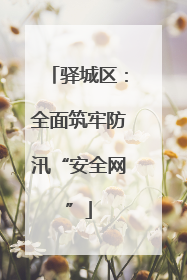 驿城区：全面筑牢防汛“安全网”