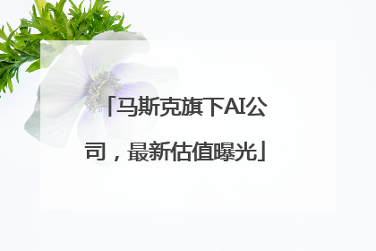 马斯克旗下AI公司，最新估值曝光