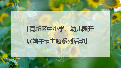 高新区中小学、幼儿园开展端午节主题系列活动