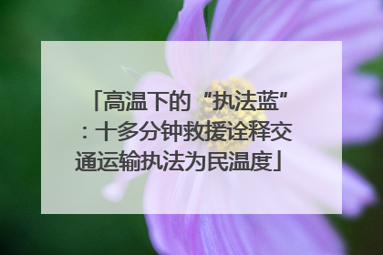 高温下的“执法蓝”：十多分钟救援诠释交通运输执法为民温度