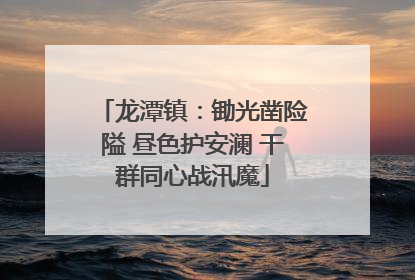龙潭镇：锄光凿险隘 昼色护安澜 干群同心战汛魔