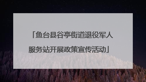 鱼台县谷亭街道退役军人服务站开展政策宣传活动