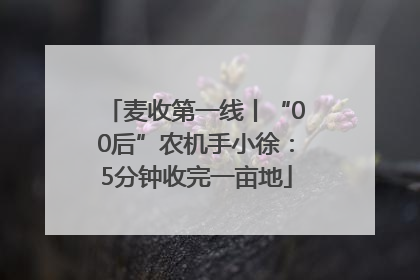 麦收第一线丨“00后”农机手小徐：5分钟收完一亩地