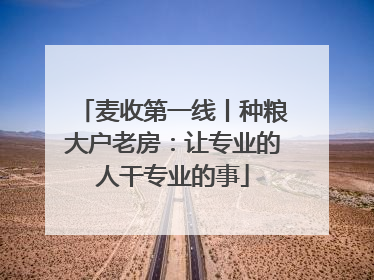 麦收第一线丨种粮大户老房：让专业的人干专业的事