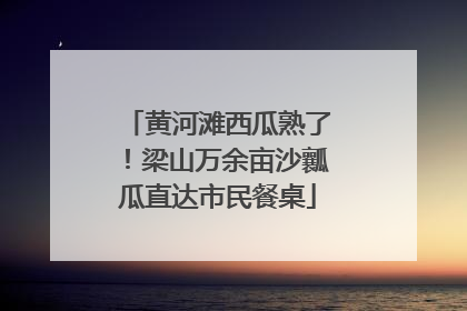 黄河滩西瓜熟了！梁山万余亩沙瓤瓜直达市民餐桌