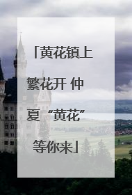黄花镇上繁花开 仲夏“黄花”等你来