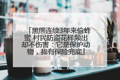 黑熊连续3年来偷蜂蜜 村民防盗花样频出却不伤害：它是保护动物，我有保险兜底