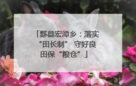 黟县宏潭乡：落实“田长制” 守好良田保“粮仓”
