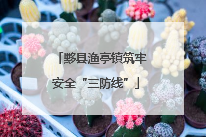 黟县渔亭镇筑牢安全“三防线”