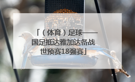 （体育）足球——国足抵达雅加达备战世预赛18强赛